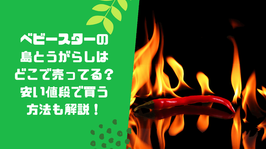 ベビースターの島とうがらしはどこで売ってる？安い値段で買う方法も解説！