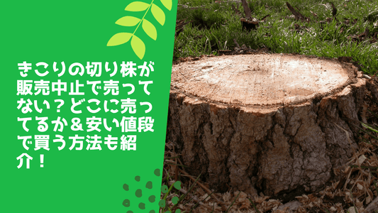 きこりの切り株が販売中止で売ってない？