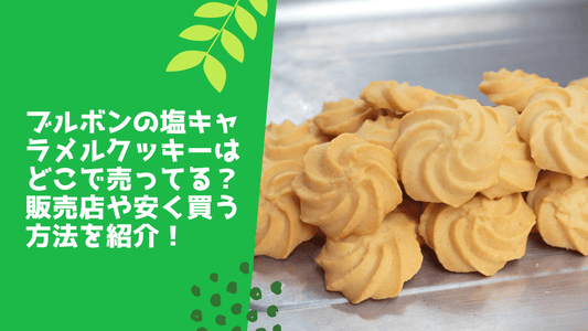ブルボンの塩キャラメルクッキーはどこで売ってる？