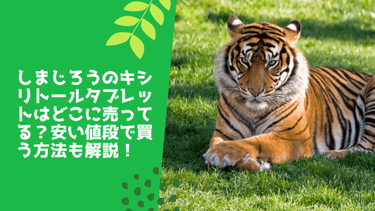 しまじろうのキシリトールタブレットはどこに売ってる？安い値段で買う方法も解説！