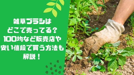 雑草ブラシはどこで売ってる？