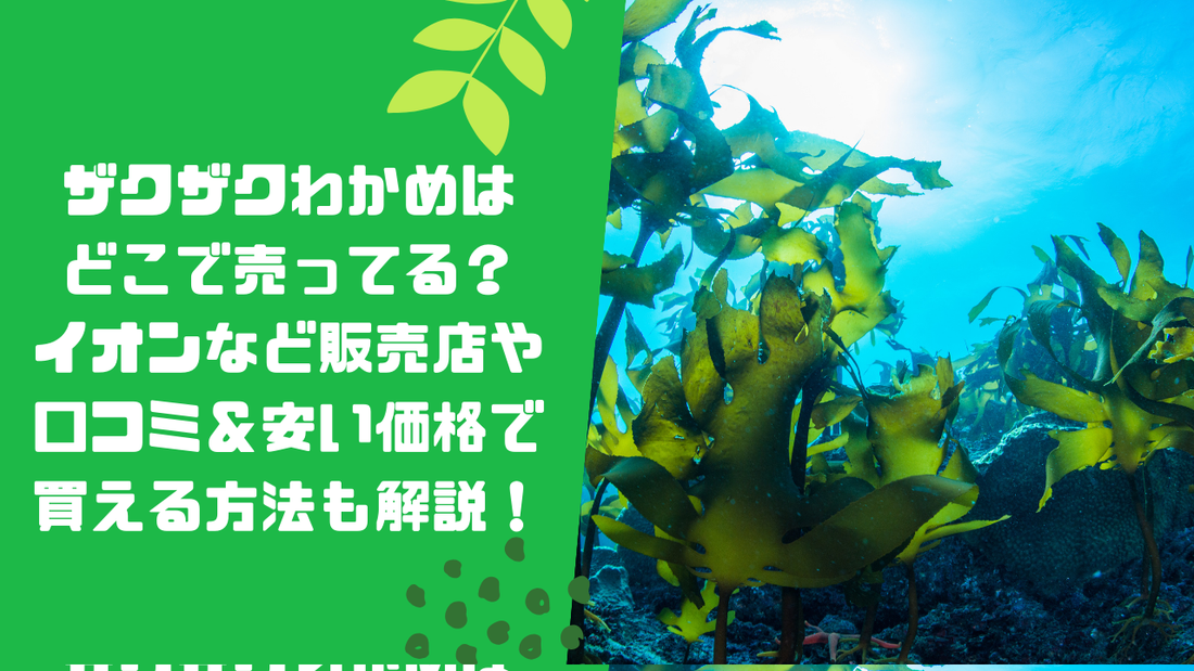 ザクザクわかめはどこで売ってる？