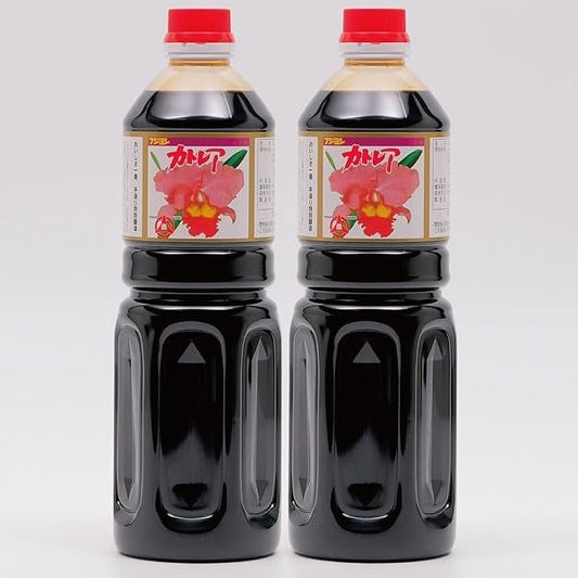 Cattleya soy sauce japan