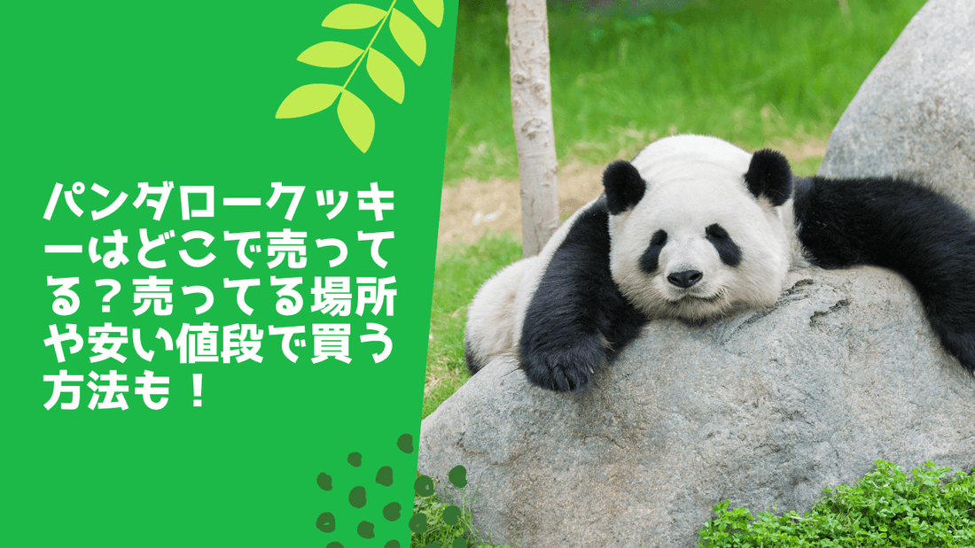 パンダロークッキーはどこで売ってる？売ってる場所や安い値段で買う方法も！