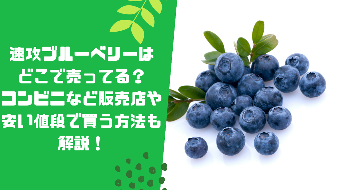 速攻ブルーベリーはどこで売ってる？