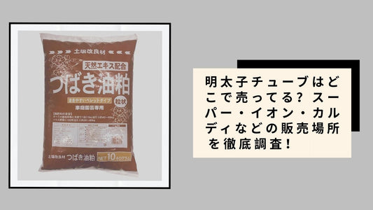 明太子チューブはどこで売ってる？