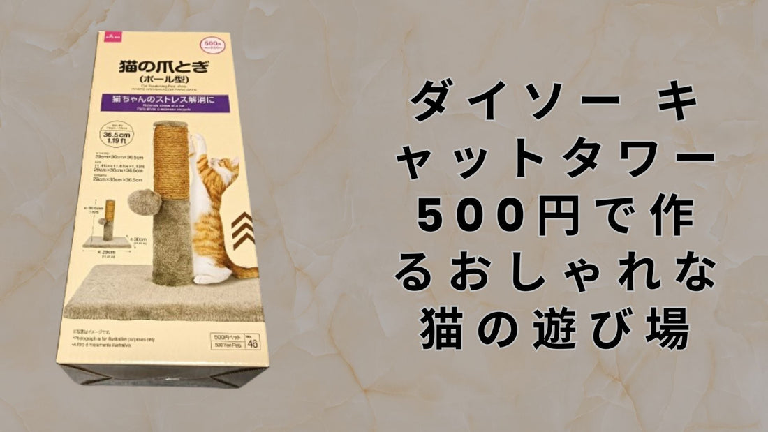 ダイソー キャットタワー 500円で作るおしゃれな猫の遊び場