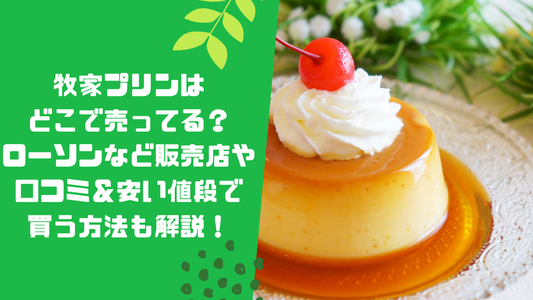 牧家プリンはどこで売ってる？