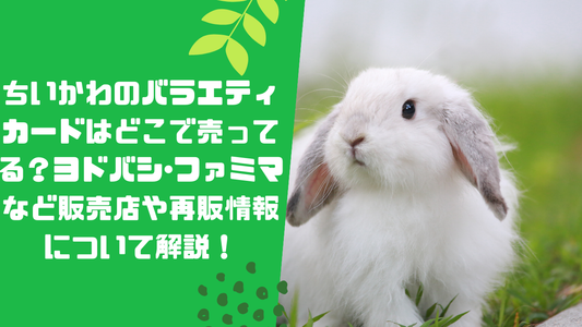 ちいかわのバラエティカードはどこで売ってる？ヨ