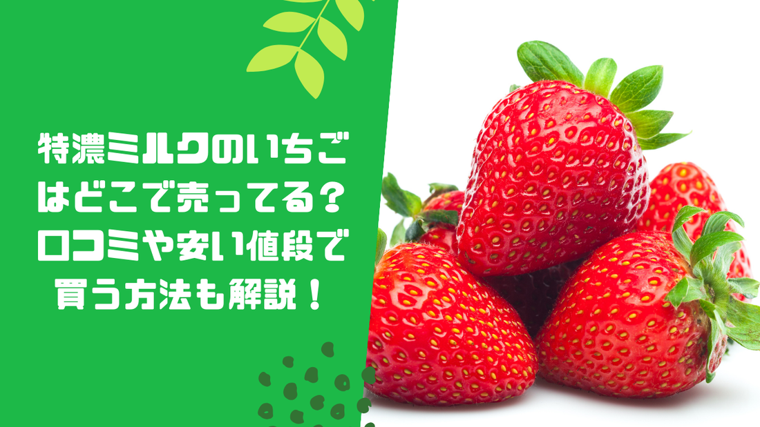 特濃ミルクのいちごはどこで売ってる？口コミや安い値段で買う方法も解説！
