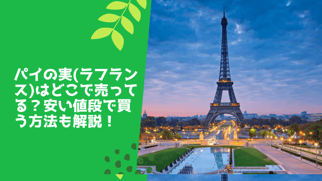 パイの実(ラフランス)はどこで売ってる？安い値段で買う方法も解説！