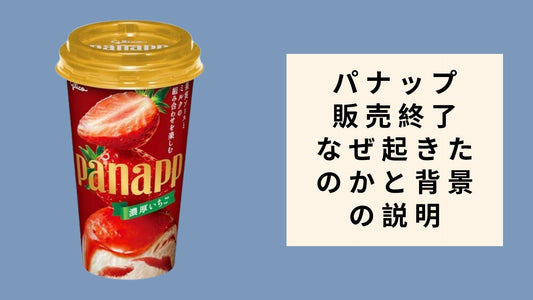 パナップ 販売終了 なぜ起きたのかと背景の説明